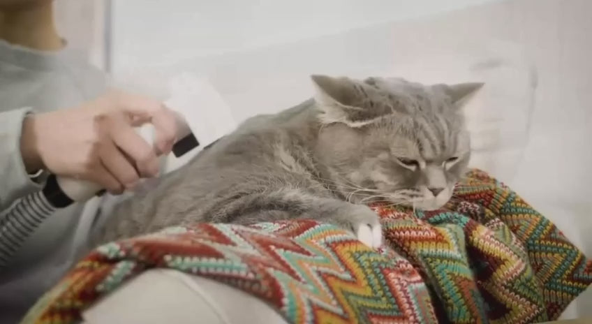 Video laden: 